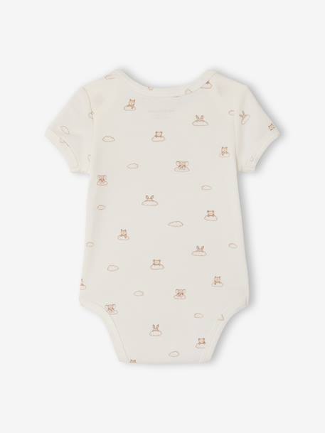 Lot 5 bodies manches courtes lapin nuage écru 7 - vertbaudet enfant 