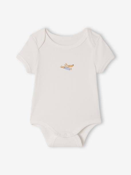 Lot 3 bodies bébé manches courtes chien anthracite 2 - vertbaudet enfant 