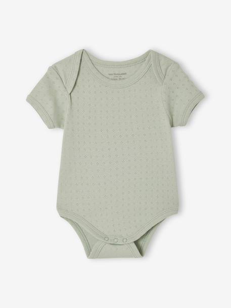 Lot 3 bodies manches courtes en pointelle vert sauge 4 - vertbaudet enfant 