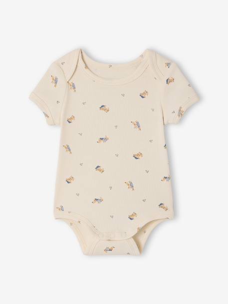 Lot 3 bodies bébé manches courtes chien anthracite 4 - vertbaudet enfant 