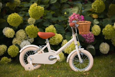 Vélo 12 pouces – enfant 2-4 ans Bleu marine+Bleu turquoise+Crème+Rose 14 - vertbaudet enfant 