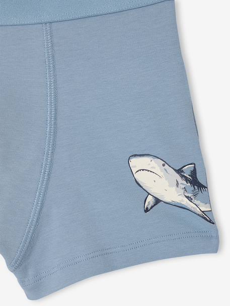 Lot 5 boxers garçon requin bleu grisé 8 - vertbaudet enfant 