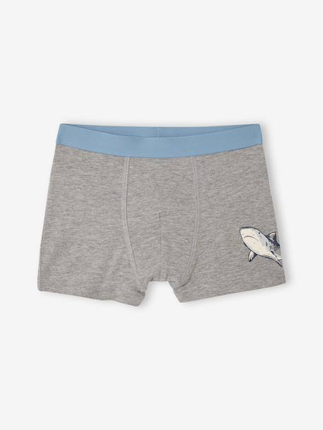 Lot 5 boxers garçon requin bleu grisé 5 - vertbaudet enfant 