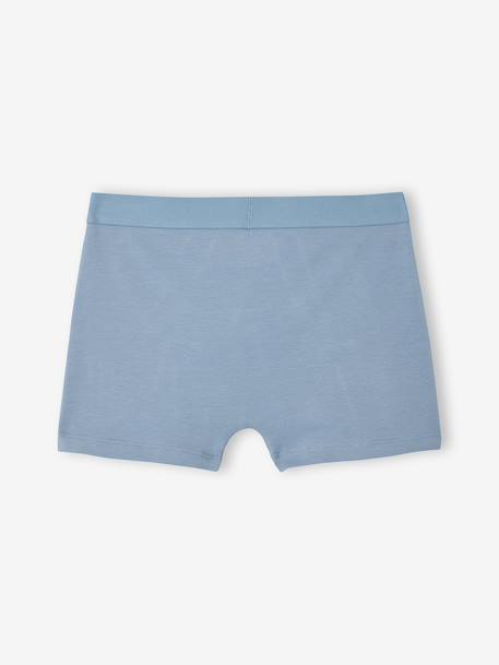 Lot 5 boxers garçon requin bleu grisé 7 - vertbaudet enfant 