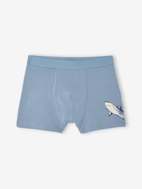 Lot 5 boxers garçon requin bleu grisé 2 - vertbaudet enfant 