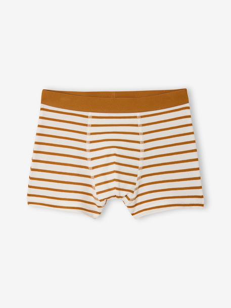 Lot 5 boxers garçon vélo écru 3 - vertbaudet enfant 