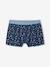 Lot 5 boxers garçon requin bleu grisé 6 - vertbaudet enfant 