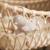 Peluche musicale deepsea Gris, blanc+Rose 3 - vertbaudet enfant 