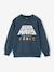 Sweat shirt Star Wars bleu nuit 1 - vertbaudet enfant 