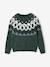Pull jacquard garçon col rond bleu ardoise+vert 7 - vertbaudet enfant 