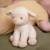 Peluche bébé toute douce en forme d’animal – compagnon câlin lavable en machine dès la naissance Blanc, marron 6 - vertbaudet enfant 