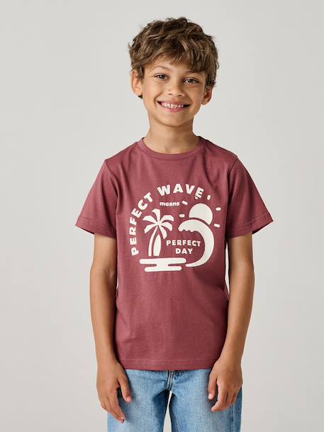 T-shirt garçon imprimé blanc chiné+bleu moyen+menthe+ocre+olive+terracotta+vert d'eau 17 - vertbaudet enfant 