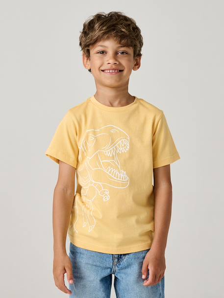 T-shirt garçon imprimé blanc chiné+bleu moyen+menthe+ocre+olive+terracotta+vert d'eau 10 - vertbaudet enfant 