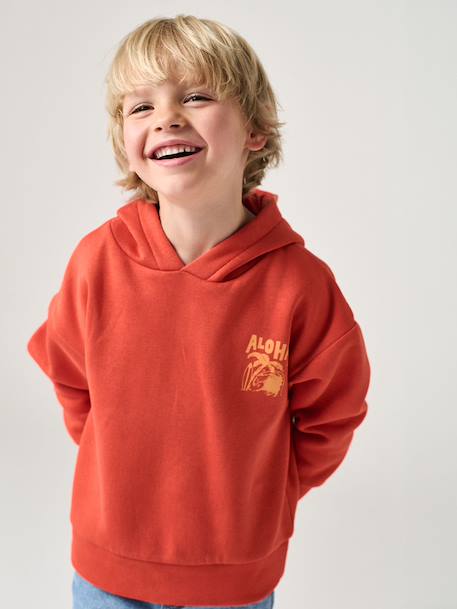 Sweat garçon à capuche motif poitrine bleu pétrole+orange 5 - vertbaudet enfant 