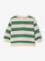 Sweat bébé manches longues rayés rayé vert 2 - vertbaudet enfant 