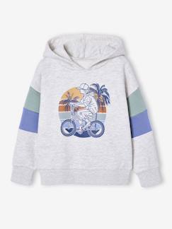 -Sweat capuche imprimé