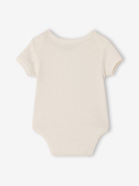 Lot 3 bodies manches courtes en pointelle vert sauge 5 - vertbaudet enfant 