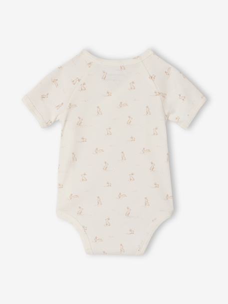 Lot 5 bodies bébé manches courtes lapin gris chiné 7 - vertbaudet enfant 