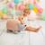 Peluche hérisson mini en coton Pink and grey 2 - vertbaudet enfant 