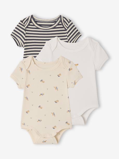 Lot 3 bodies bébé manches courtes chien anthracite 1 - vertbaudet enfant 