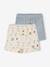 Lot 2 short bébé bleu ciel 1 - vertbaudet enfant 