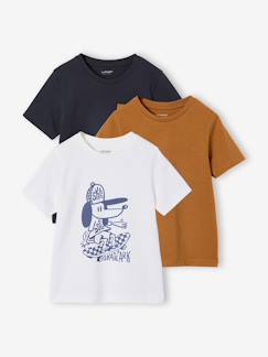 Garçon-T-shirt, polo, sous-pull-Lot 3 T-shirts manches courtes