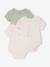 Lot 3 bodies manches courtes en pointelle vert sauge 1 - vertbaudet enfant 