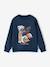 Sweat col rond surf bleu nuit+olive 2 - vertbaudet enfant 