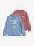 Lot de 2 sweats 'Cool and Fun' terracotta+tomette 1 - vertbaudet enfant 