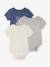 Lot 3 bodies évolutif garçon manches courtes gris chiné 1 - vertbaudet enfant 
