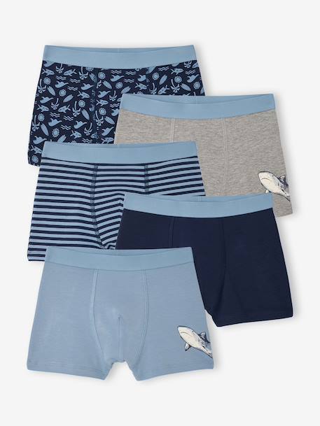 Lot 5 boxers garçon requin bleu grisé 1 - vertbaudet enfant 