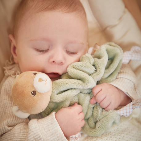Doudou plat Bleu, beige, blanc+Vert, beige, blanc 11 - vertbaudet enfant 