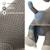 Lot 2 peluches chien cocker coton Grey and blue 3 - vertbaudet enfant 