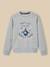 Sweat enfant collection jules verne - coton biologique Gris chine 1 - vertbaudet enfant 