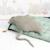 Lot 3 animaux océan raie + poissons Grey and light blue 4 - vertbaudet enfant 