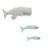 Lot 3 animaux océan béluga + poissons Grey and light blue 1 - vertbaudet enfant 