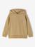 Sweat à capuche garçon coton cumin 1 - vertbaudet enfant 