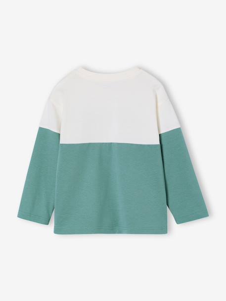 T-shirt manches longues colorblock vert d'eau 2 - vertbaudet enfant 