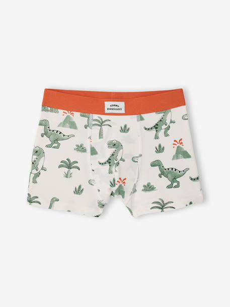 Lot 5 boxers dino encre 3 - vertbaudet enfant 