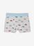 Lot 5 boxers van vert d'eau 4 - vertbaudet enfant 
