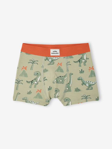 Lot 5 boxers dino encre 6 - vertbaudet enfant 