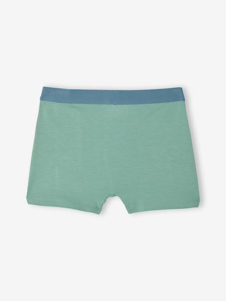 Lot 5 boxers garçon circuit écru 7 - vertbaudet enfant 