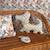 Grande peluche en coton - chien scotty Beige 4 - vertbaudet enfant 
