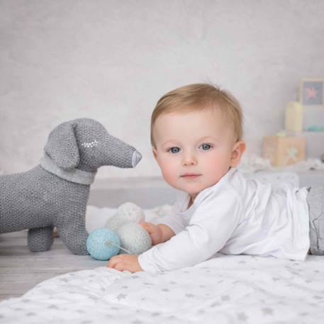 Peluche en coton bio doudou chien teckel Gris 4 - vertbaudet enfant 