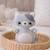 Jouet d'éveil bébé – culbuto chat en coton Gris 3 - vertbaudet enfant 