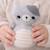 Jouet d'éveil bébé – culbuto chat en coton Gris 2 - vertbaudet enfant 