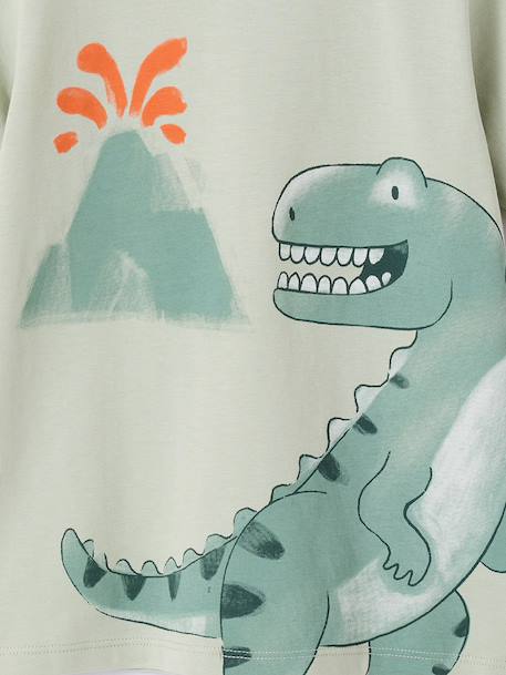 Lot 2 pyjashort garçon dinosaure vert sauge 8 - vertbaudet enfant 