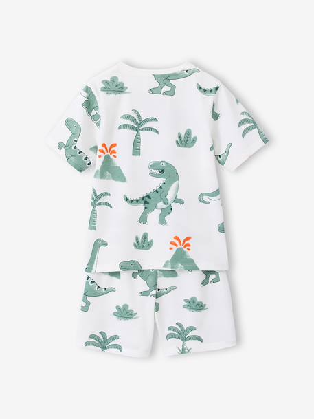 Lot 2 pyjashort garçon dinosaure vert sauge 11 - vertbaudet enfant 