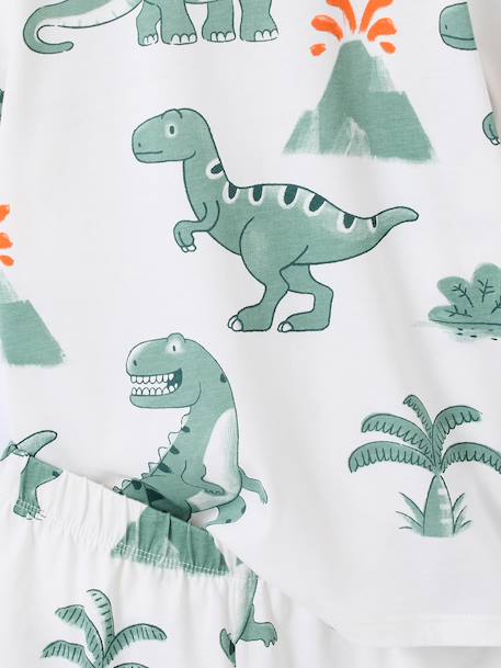 Lot 2 pyjashort garçon dinosaure vert sauge 9 - vertbaudet enfant 