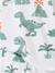 Lot 2 pyjashort garçon dinosaure vert sauge 9 - vertbaudet enfant 